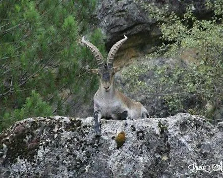 Monte Piedra Hotel 2*